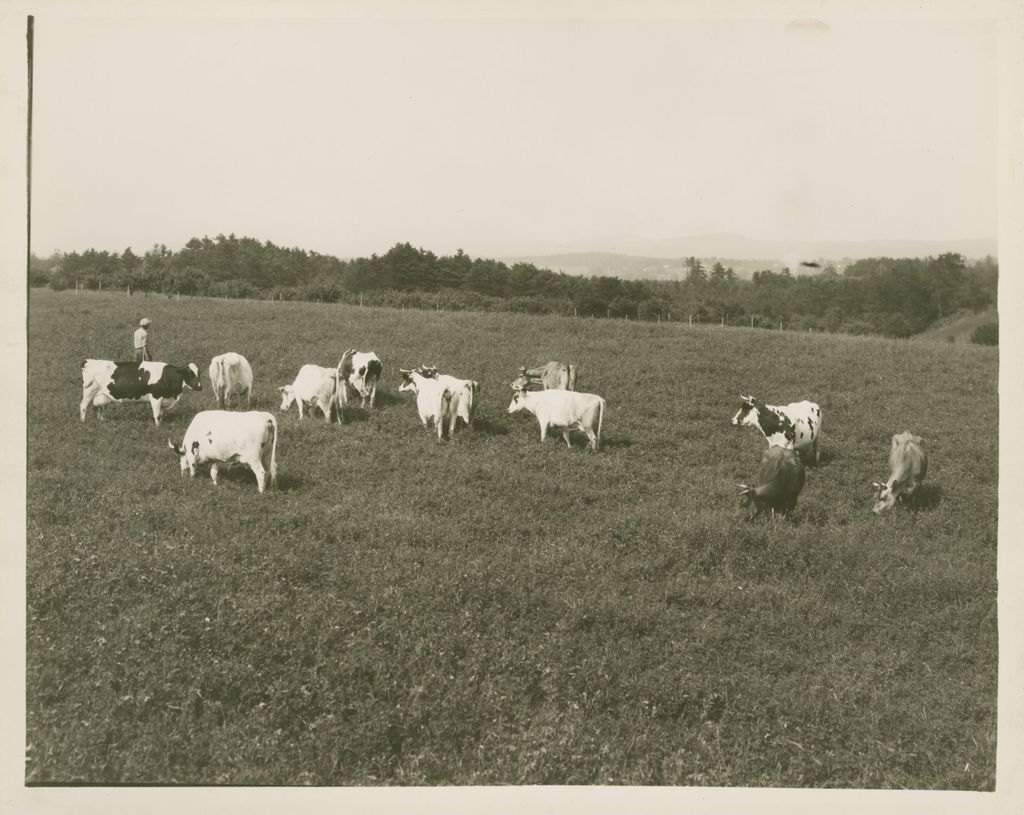 Miniature of Farms