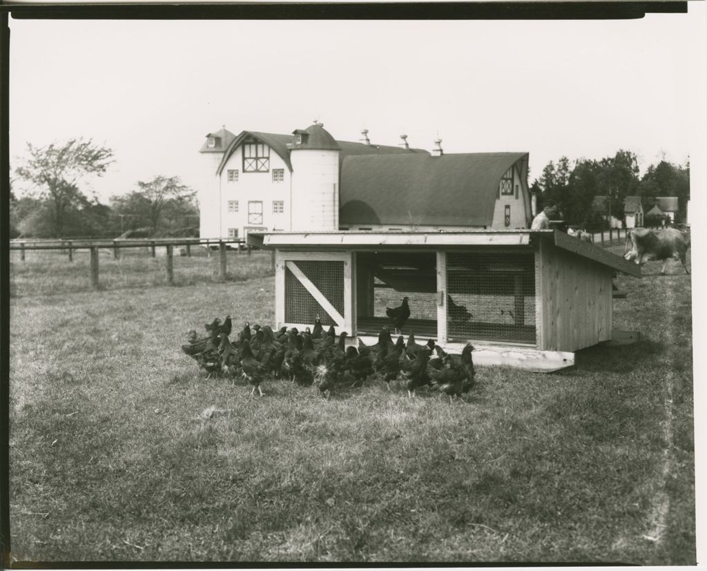 Miniature of Farms - Livestock