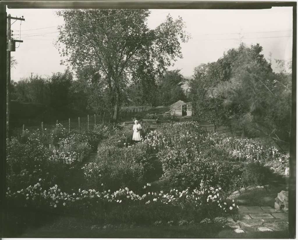 Miniature of Gardens