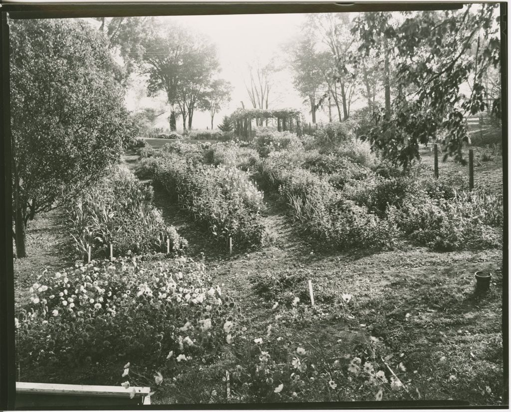 Miniature of Gardens