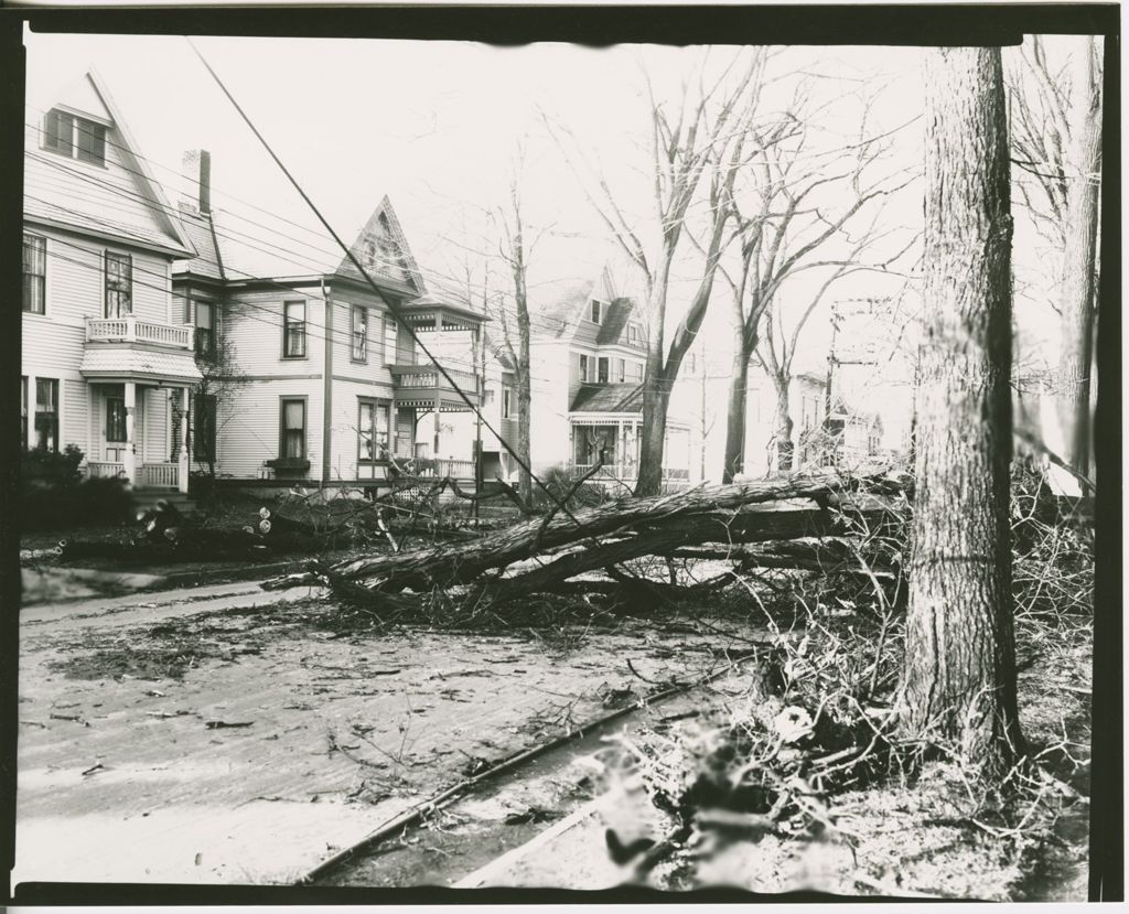 Miniature of Houses, Miscellaneous Identified