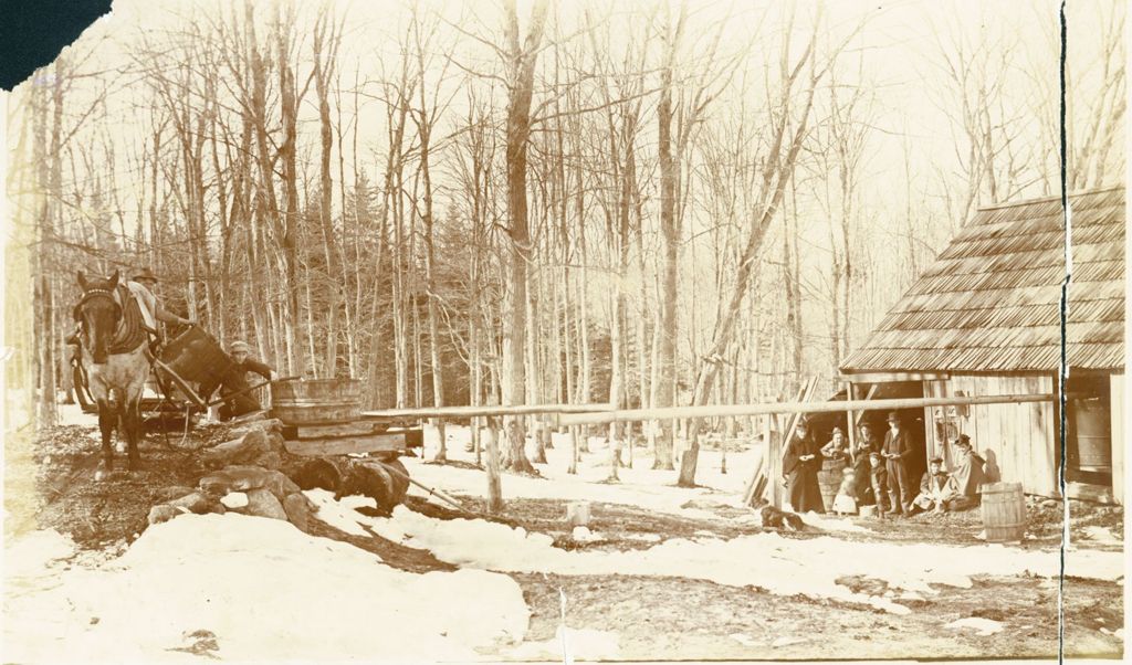 Miniature of Unloading maple sap into sugarhouse