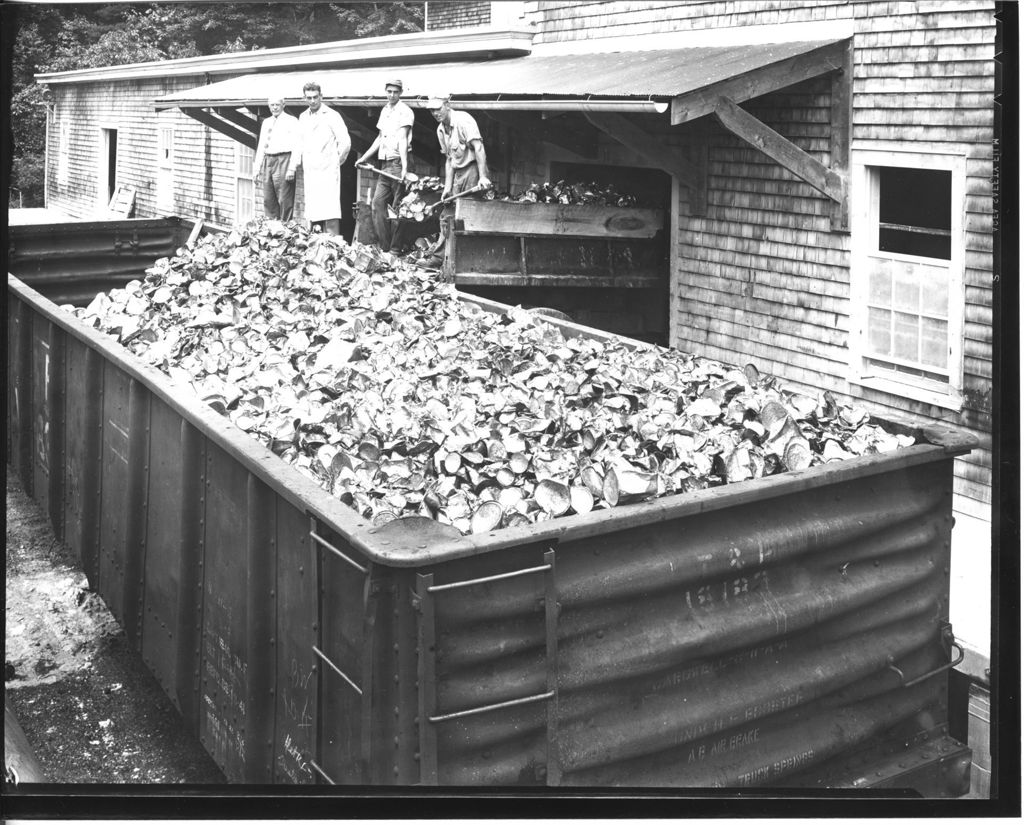 Miniature of Scrap Metal Collection