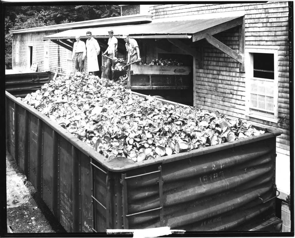 Miniature of Scrap Metal Collection