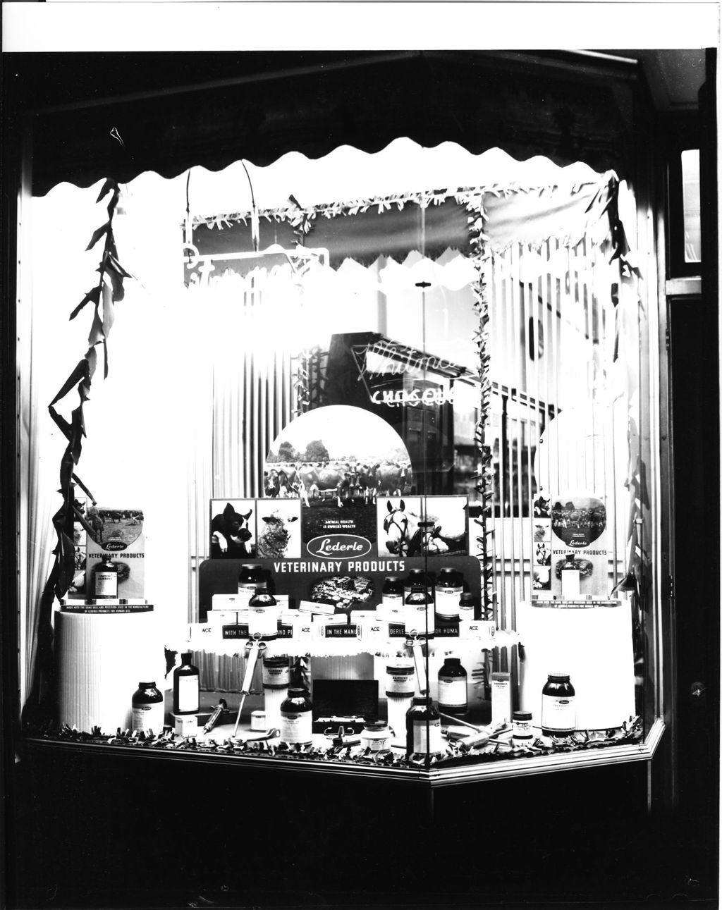 Miniature of Stores - Windows - Unidentified