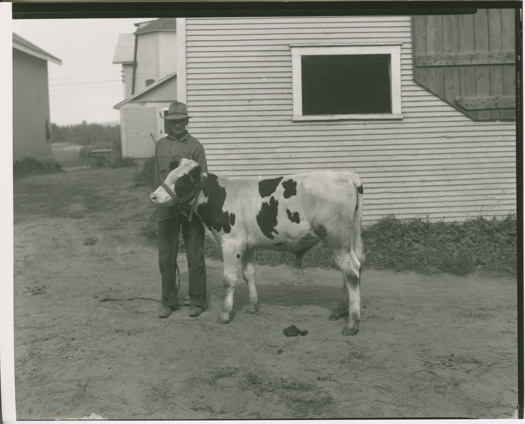 Miniature of Farms - Livestock