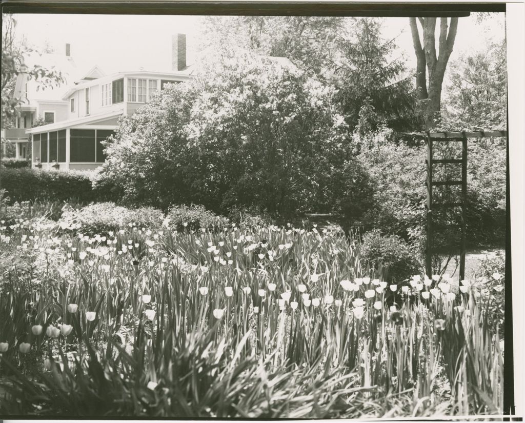 Miniature of Gardens