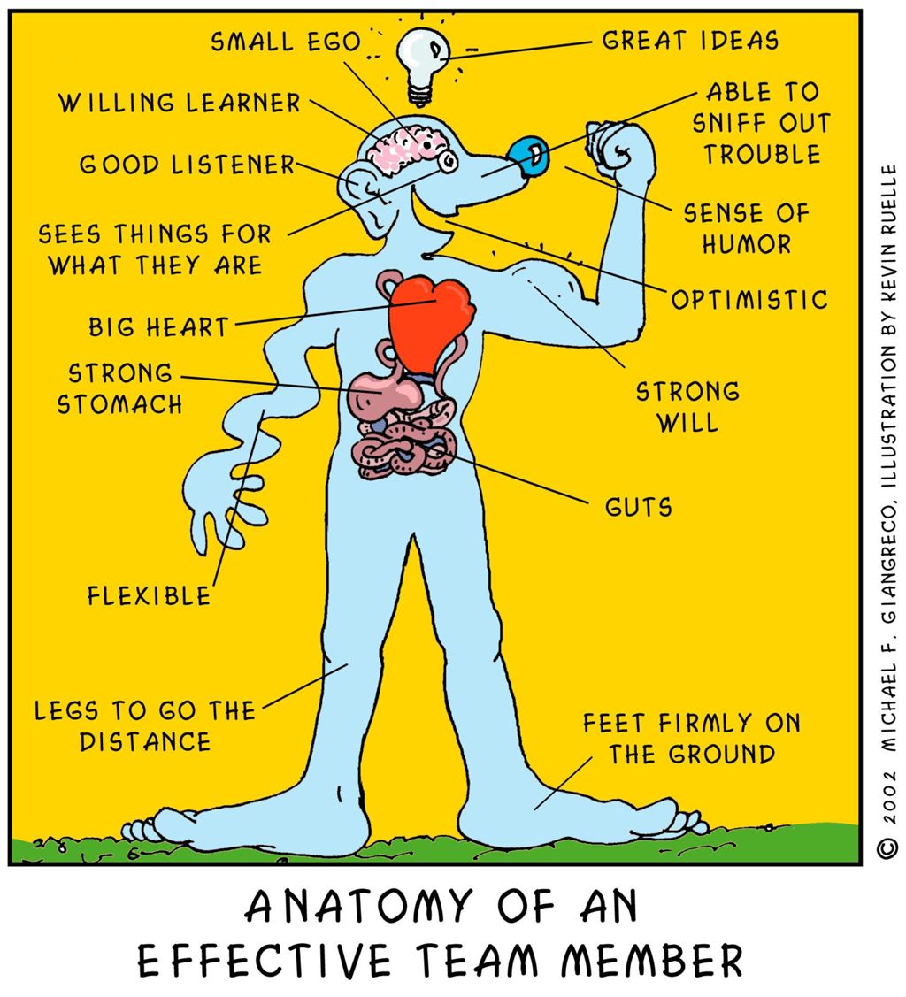 Miniature of Anatomy