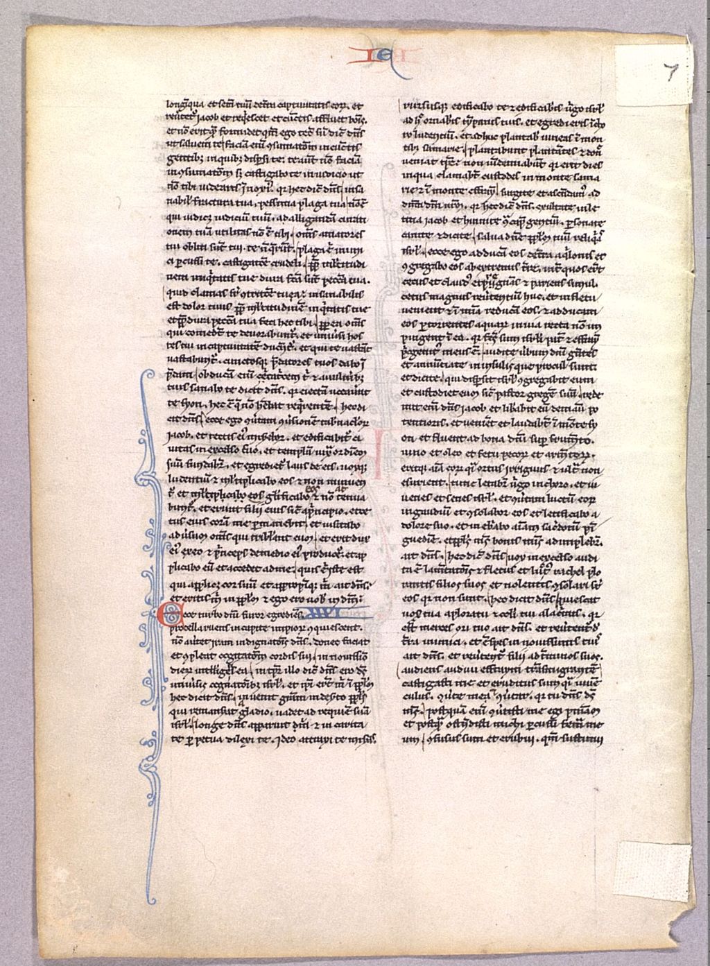 Miniature of Vulgate Bible