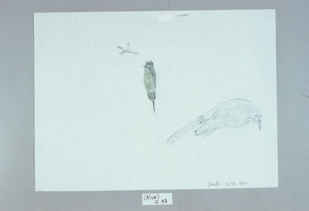 Miniature of (Alva) 12_057