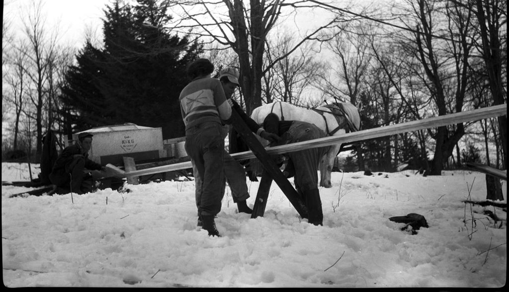 Miniature of Workers arranging metal piping to transport maple sap to collection tank