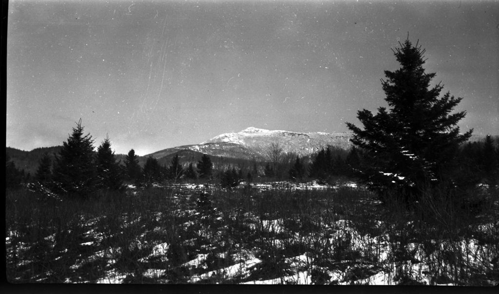 Miniature of View of Green Mountains from Proctor Maple Research Center property