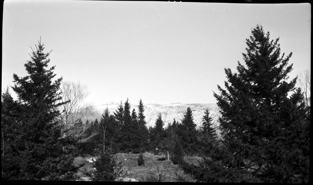 Miniature of View of Green Mountains from Proctor Maple Research Center property