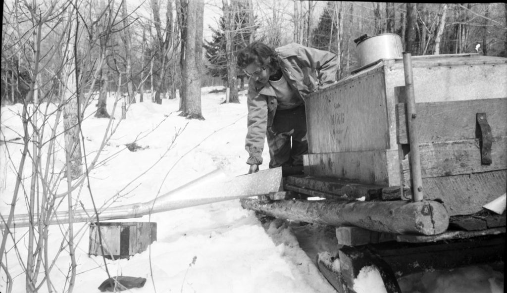 Miniature of Worker arranging metal piping to transport maple sap to collection tank