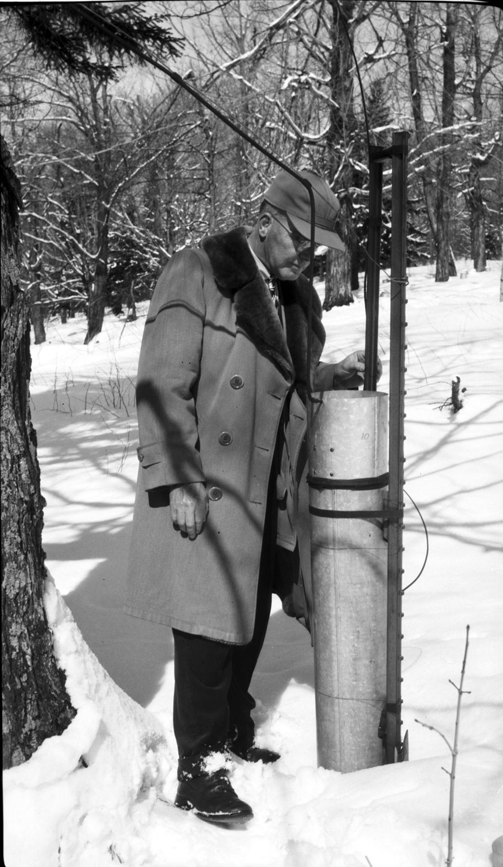 Miniature of Ed Fielling collecting maple sap