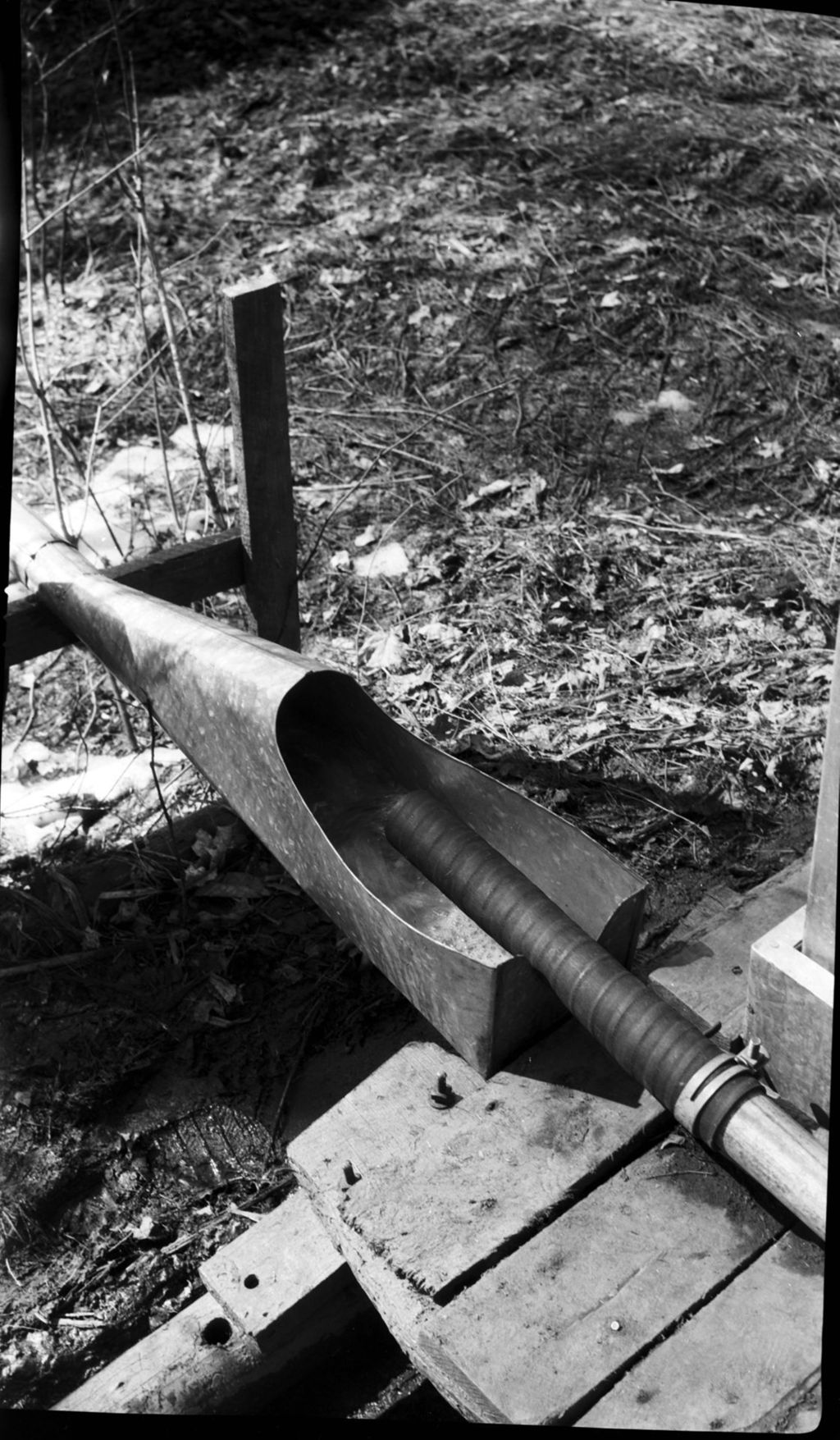 Miniature of Metal pipeline to transport maple sap