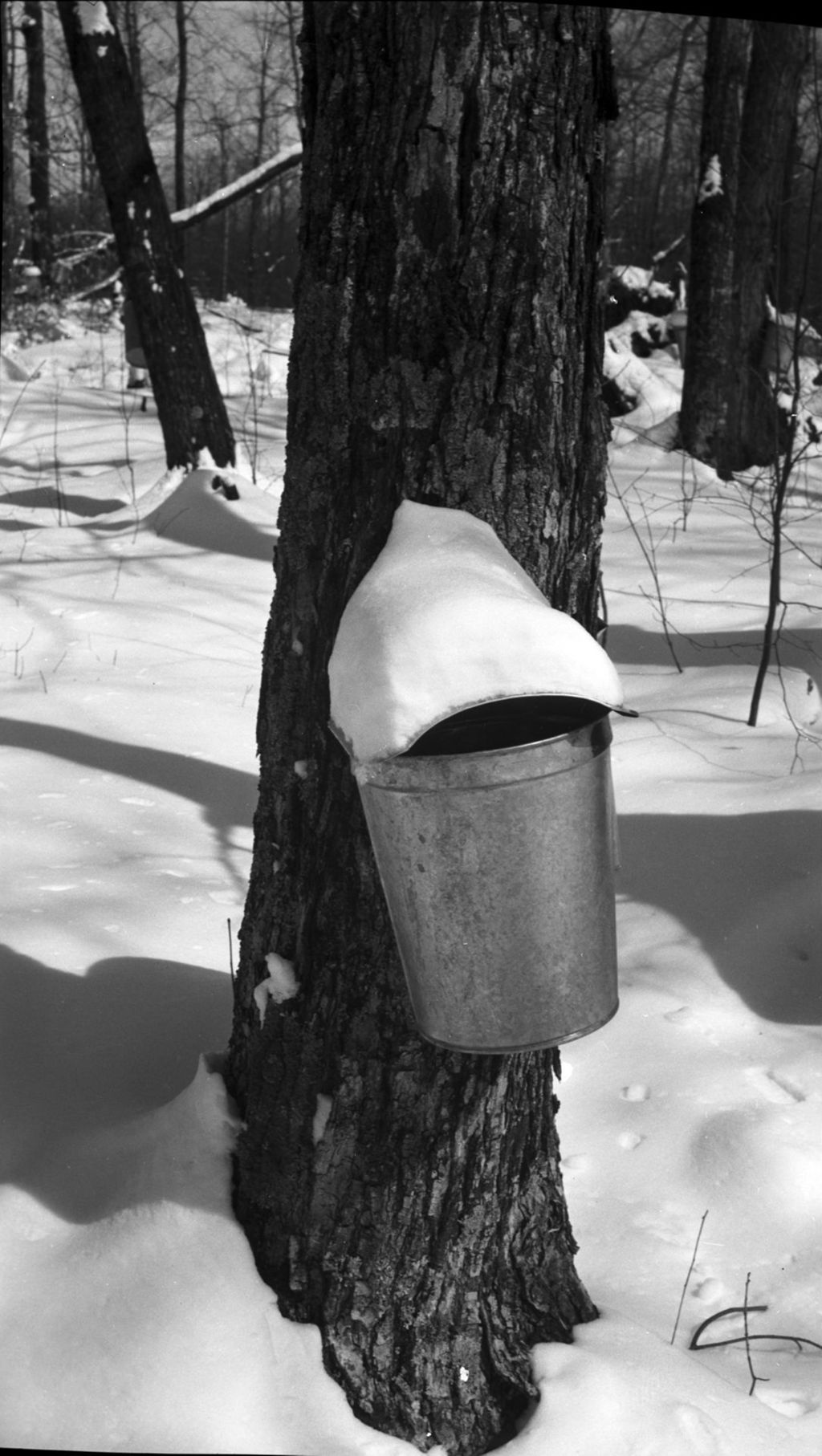 Miniature of Collection bucket