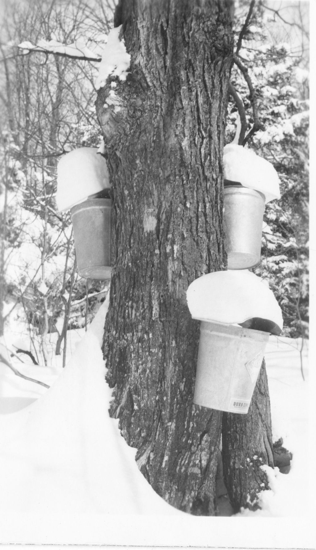 Miniature of Collection buckets