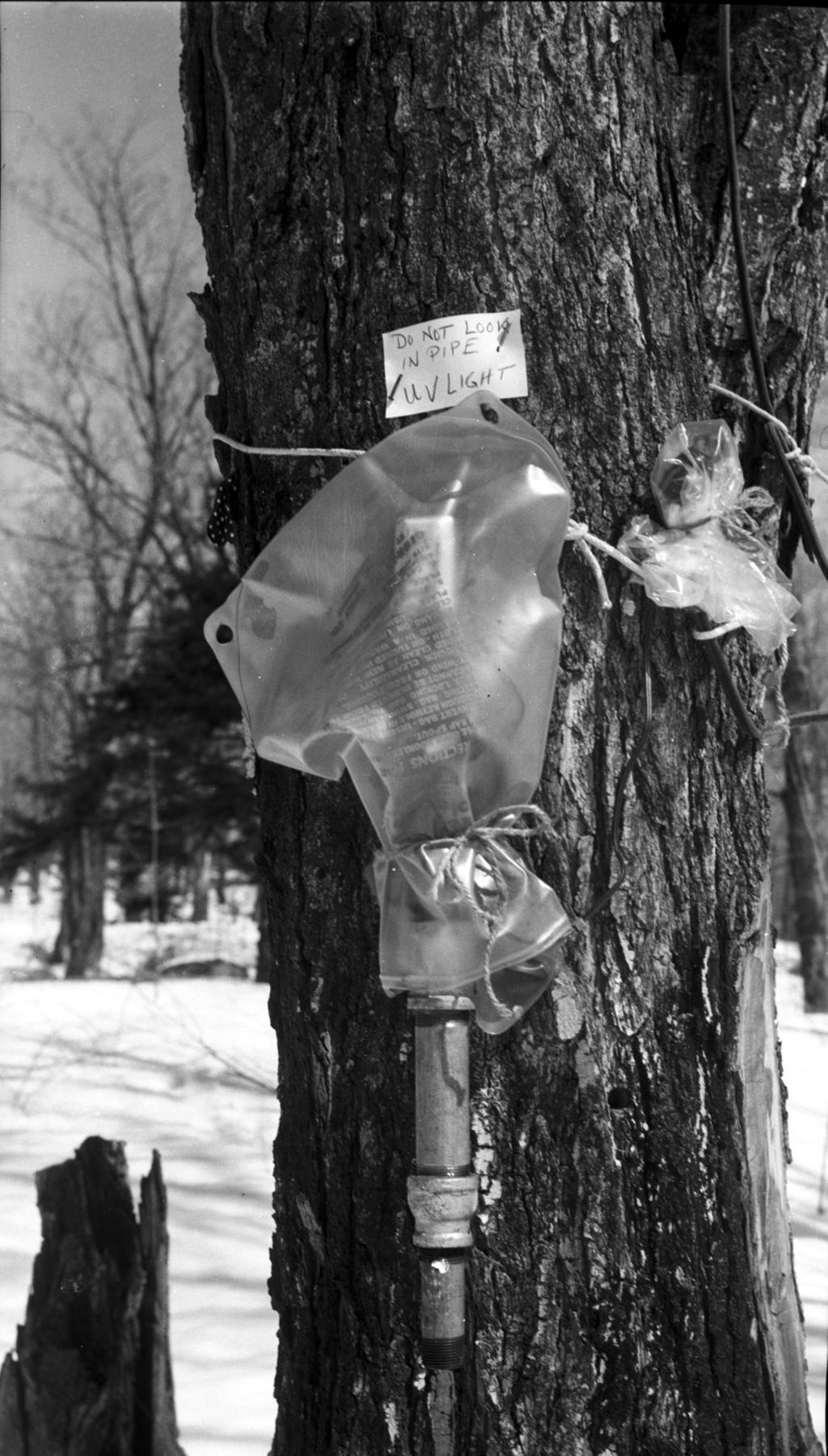 Miniature of Plastic collection bag with warning note: "Do Not Look In Pipe UV Light."