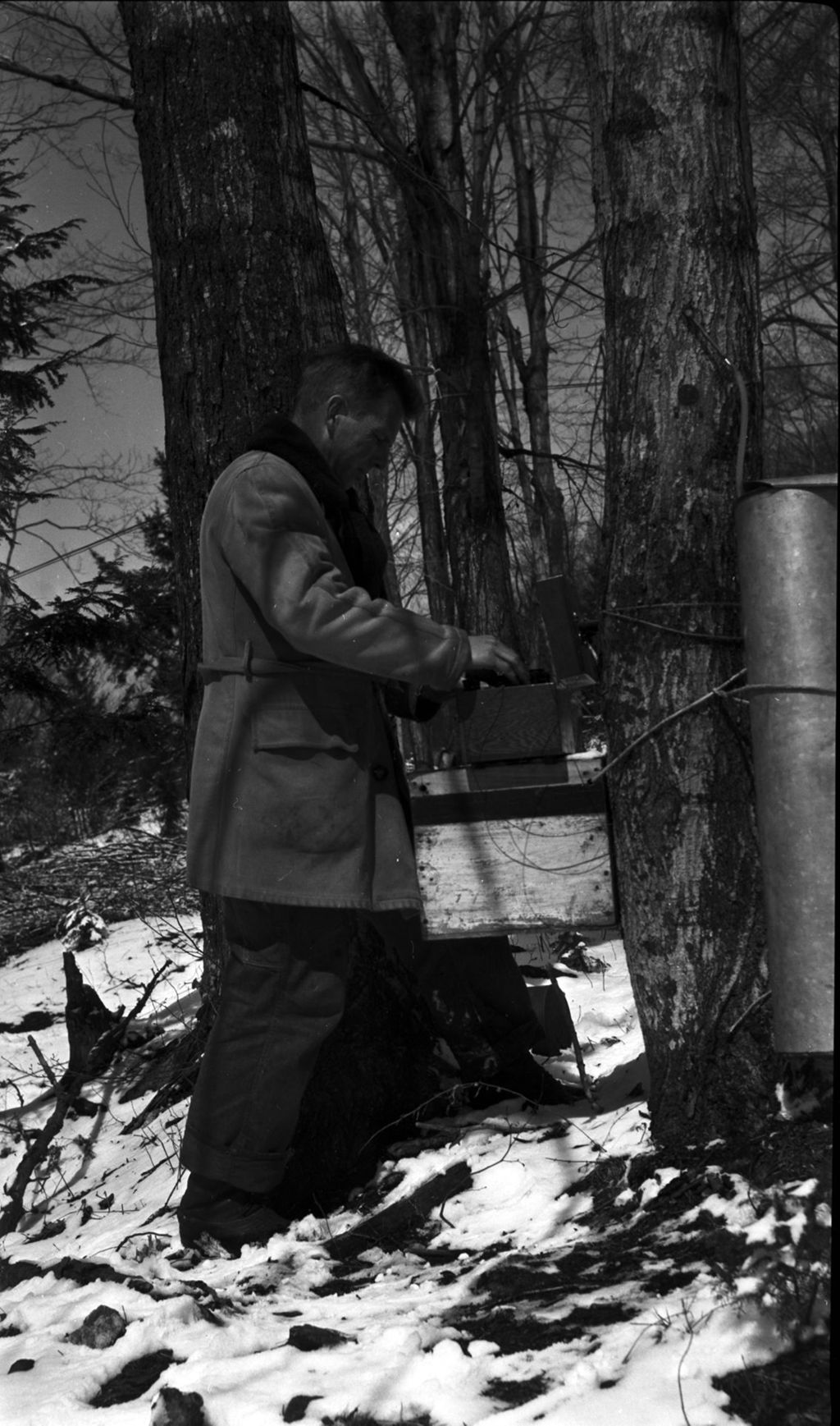 Miniature of Worker checking experiment box