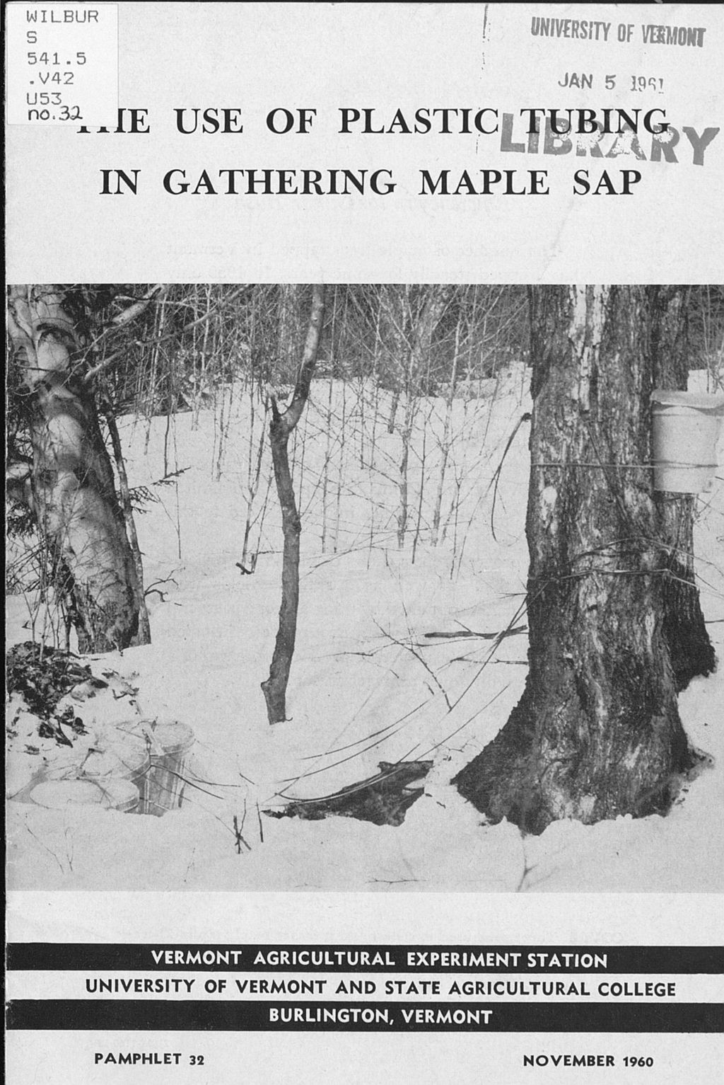 Miniature of The use of plastic tubing in gathering maple sap