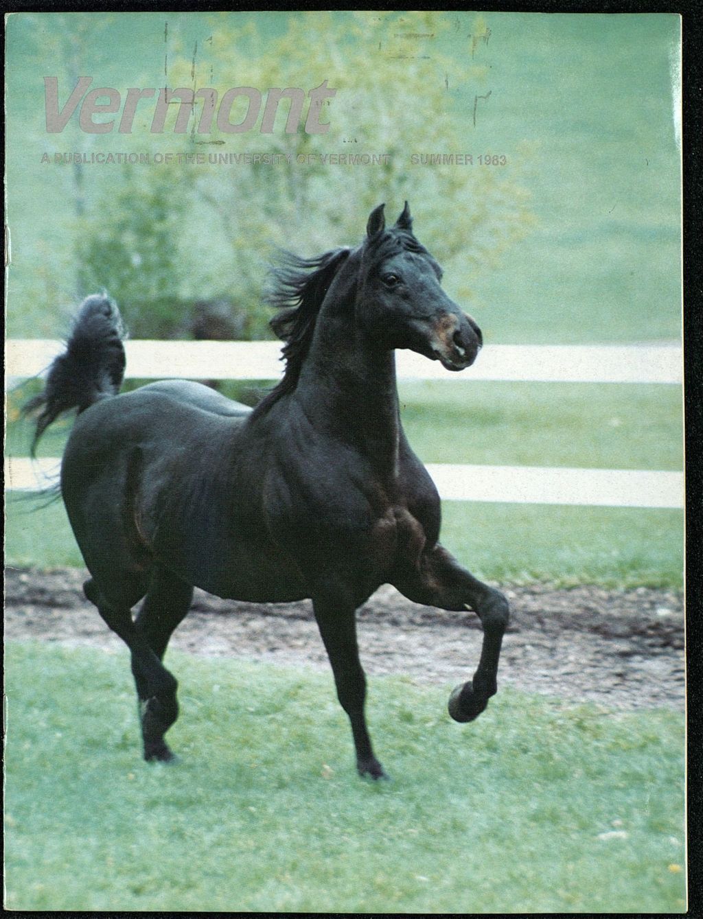 Miniature of Vermont 1983 Summer