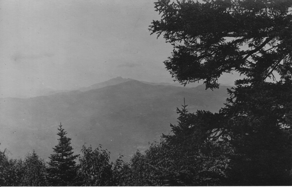 Miniature of Trees and mountain view