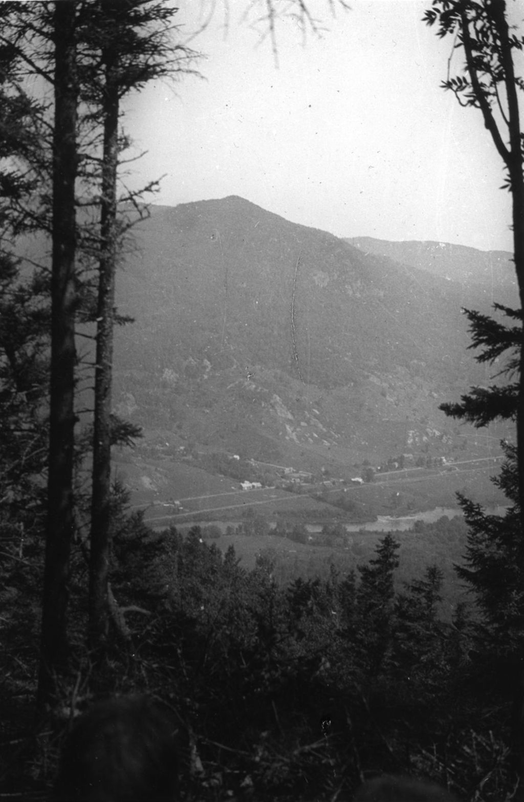 Miniature of Mountain and valley through the trees