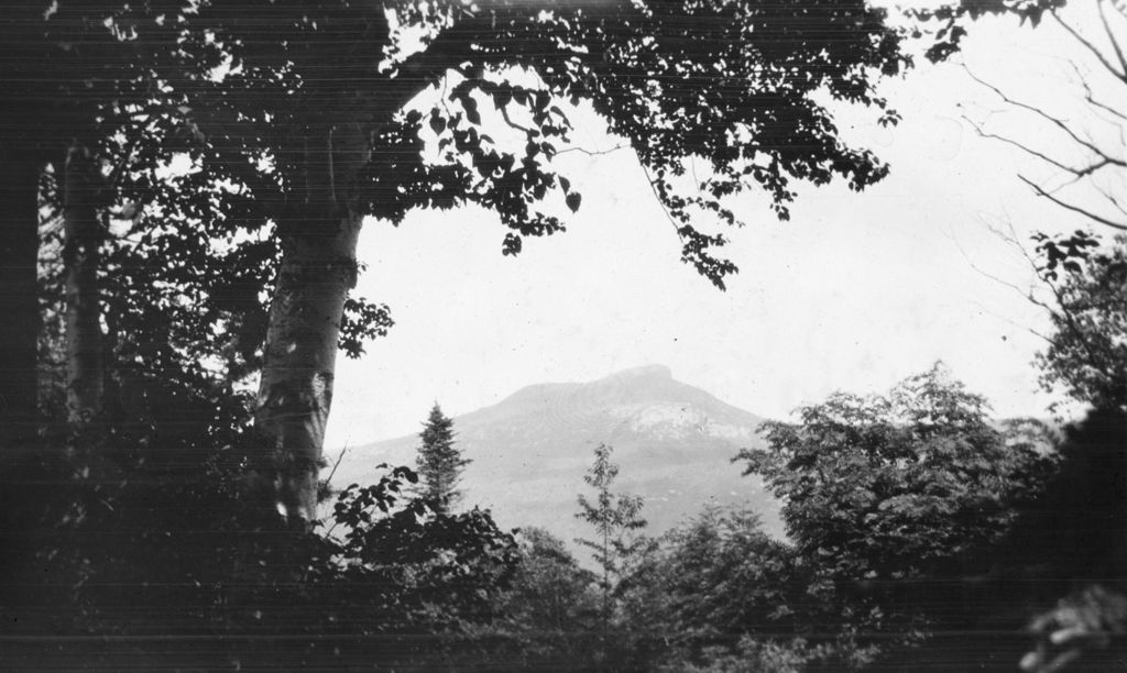 Miniature of Camel's Hump through the trees