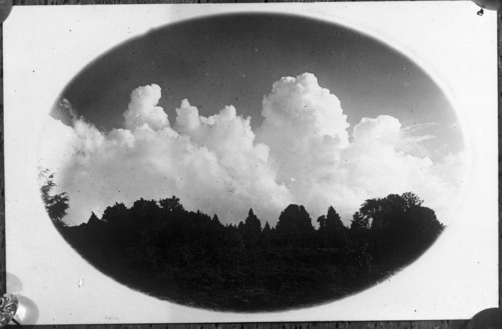 Miniature of Forestline and clouds