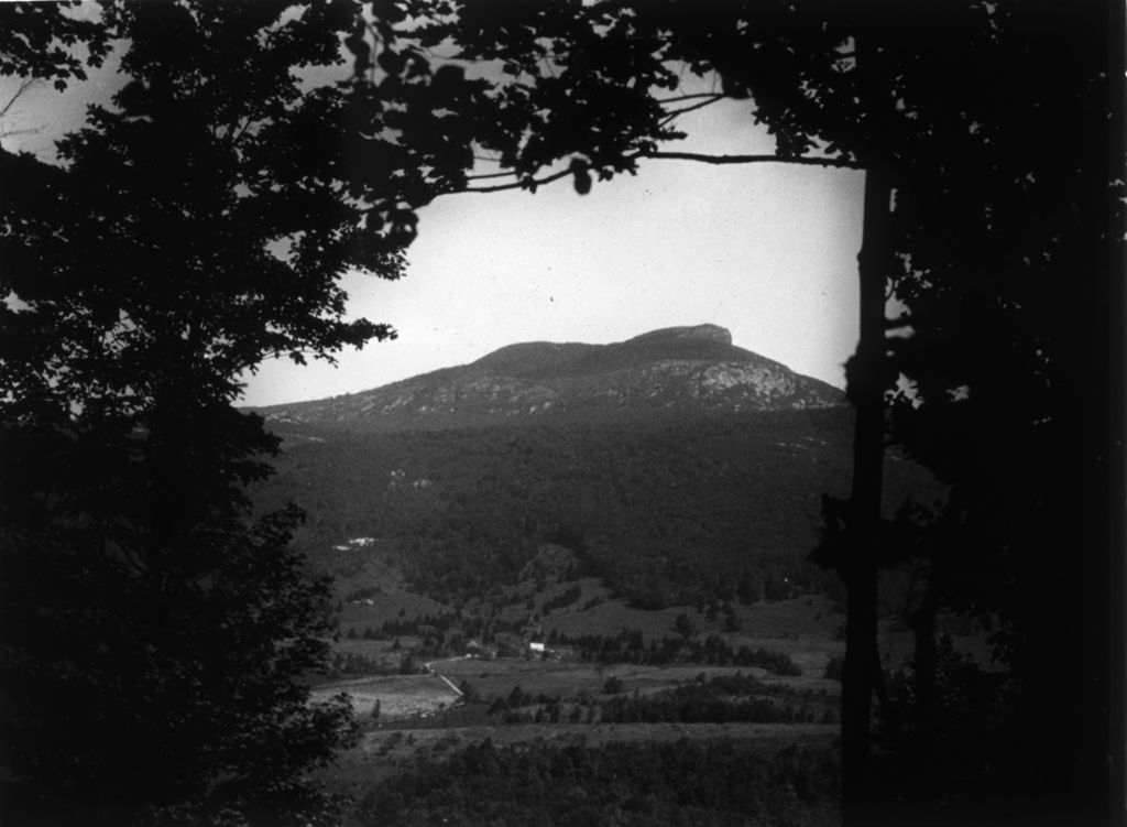 Miniature of Couching Lion (Camel's Hump)