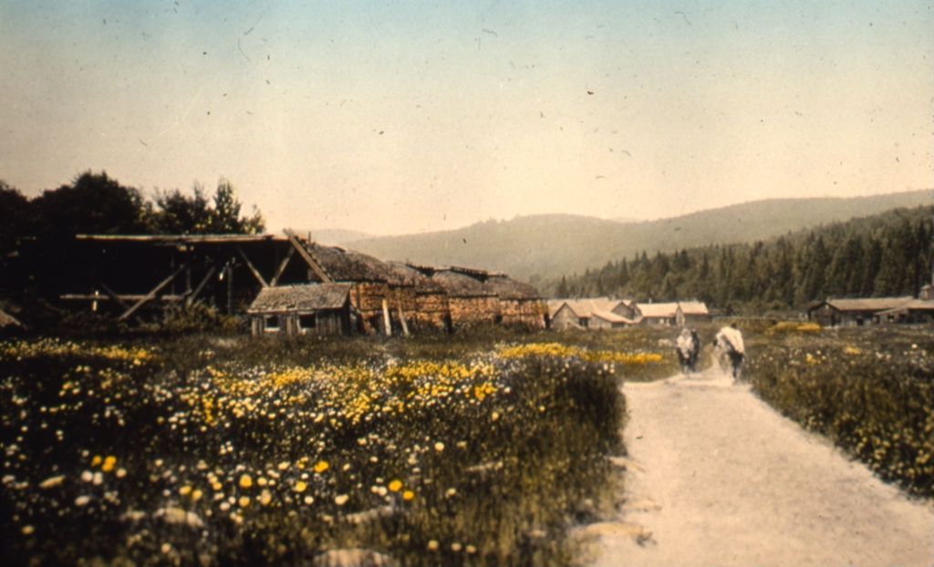 Miniature of The deserted village of Griffith - near charcoal kilns