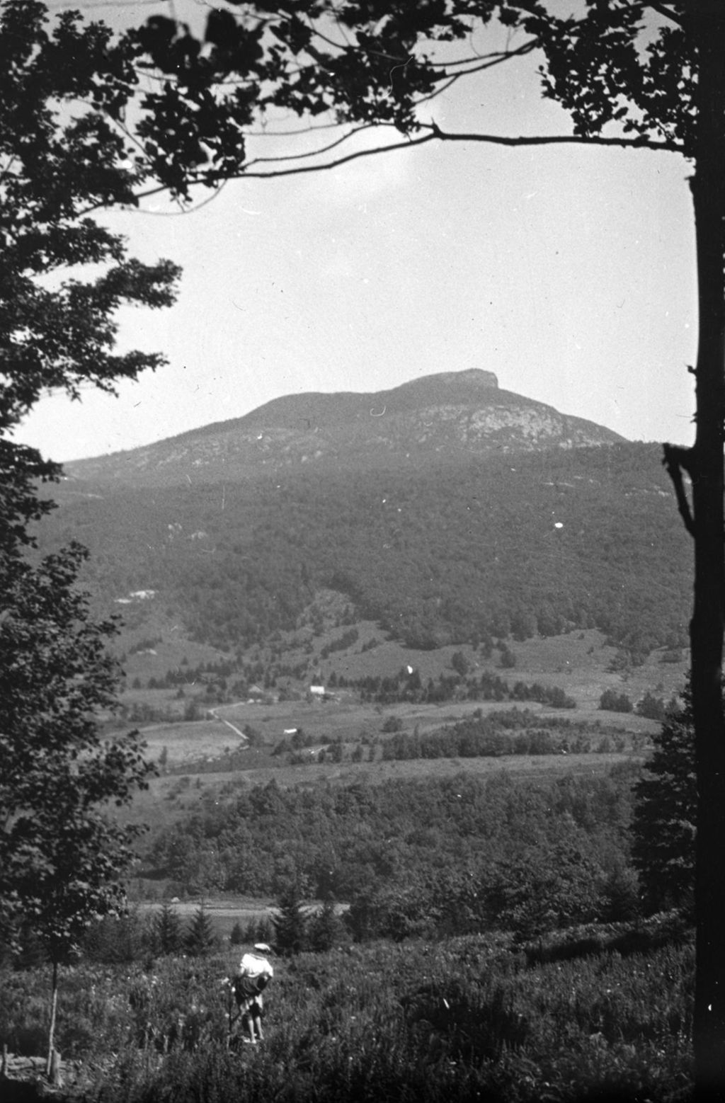 Miniature of Couching Lion (Camel's Hump) - woman in the foreground