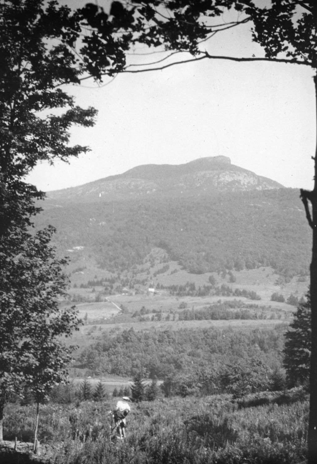 Miniature of Couching Lion (Camel's Hump) - woman in the foreground