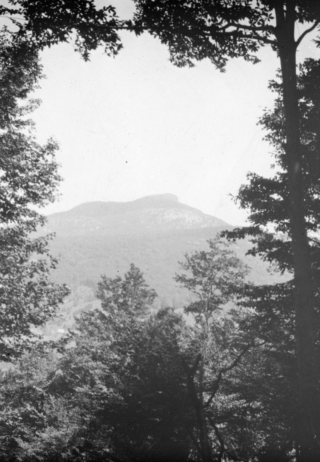 Miniature of Couching Lion (Camel's Hump)