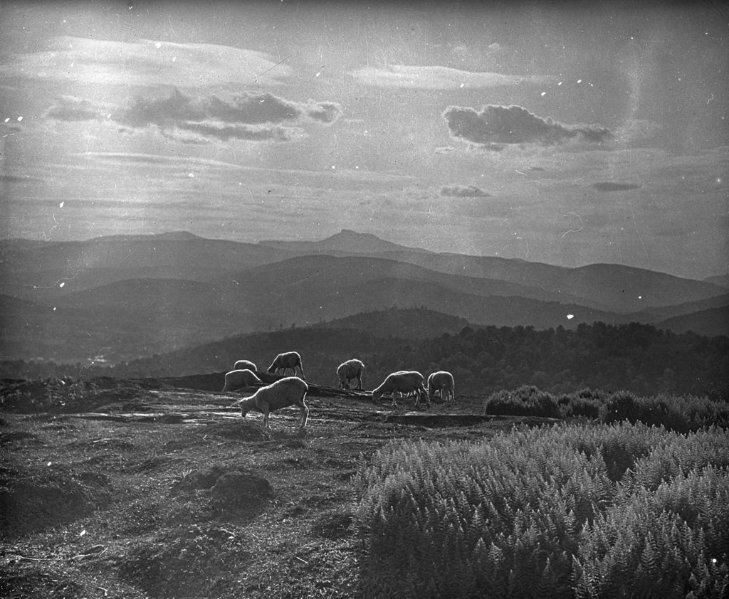 Miniature of Sheep and Couching Lion (Camel's Hump) looking South from Mount Mansfield