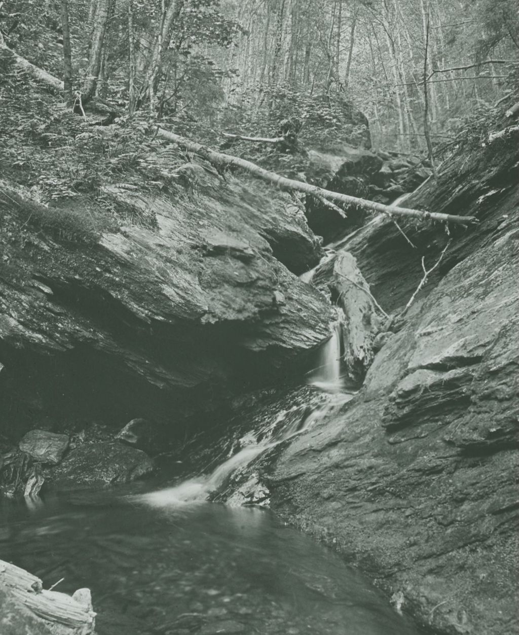 Miniature of Bathing pool at Breadloaf Glen