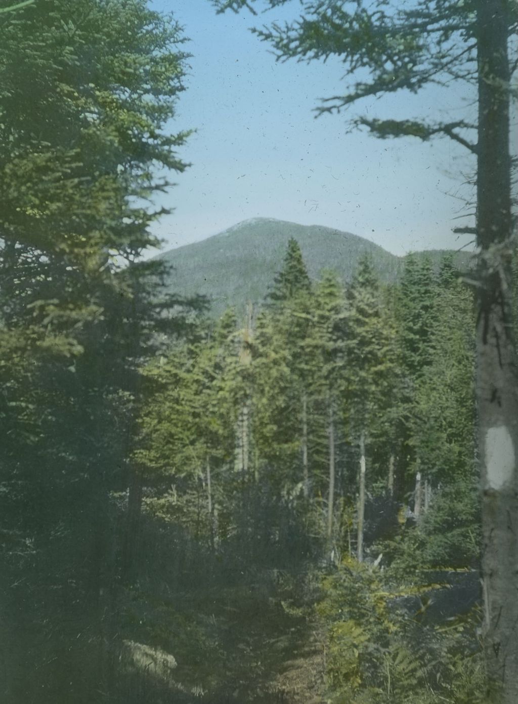 Miniature of A view of Mount Abraham