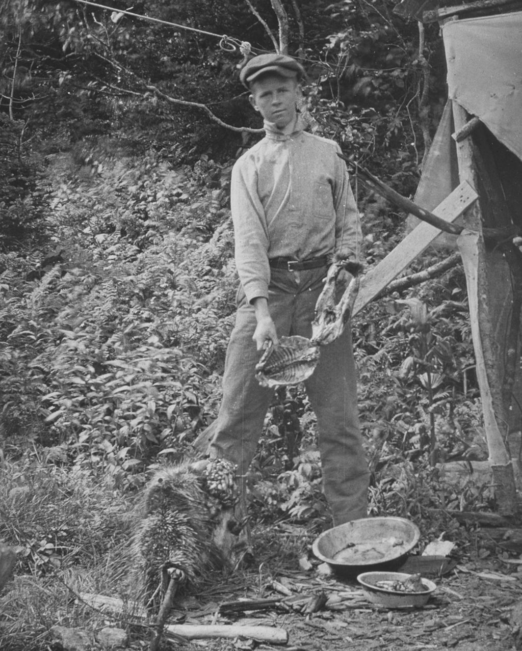 Miniature of Caretaker on Couching Lion (Camel's Hump) preparing to cook a porcupine