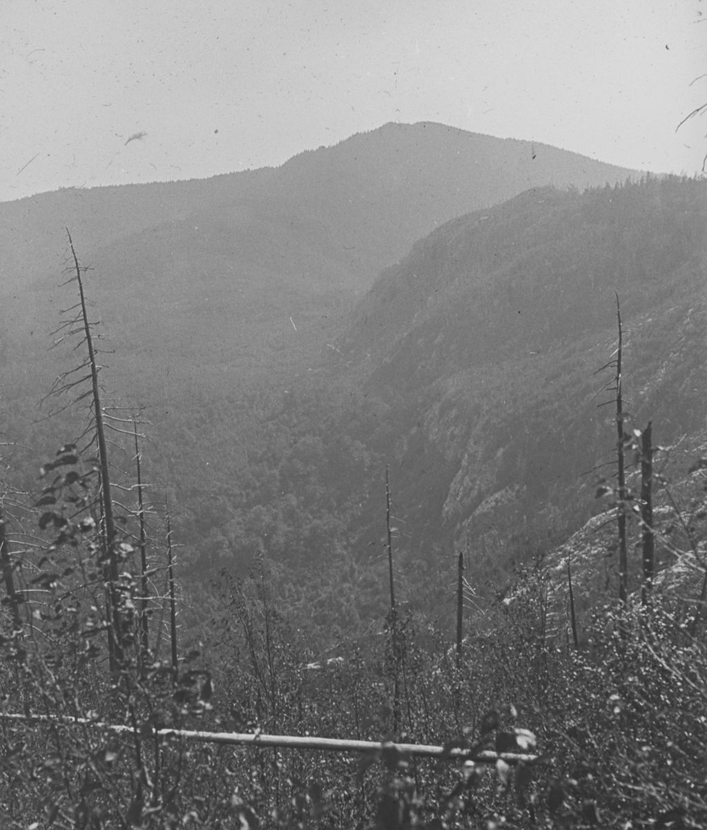 Miniature of Baker's Notch and Mount Ethan Allen from Couching Lion (Camel's Hump) trail