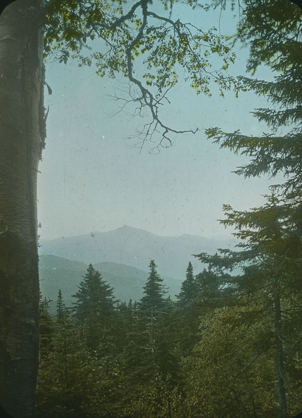 Miniature of Couching Lion (Camel's Hump) from the trail north of Dunsmoor Lodge