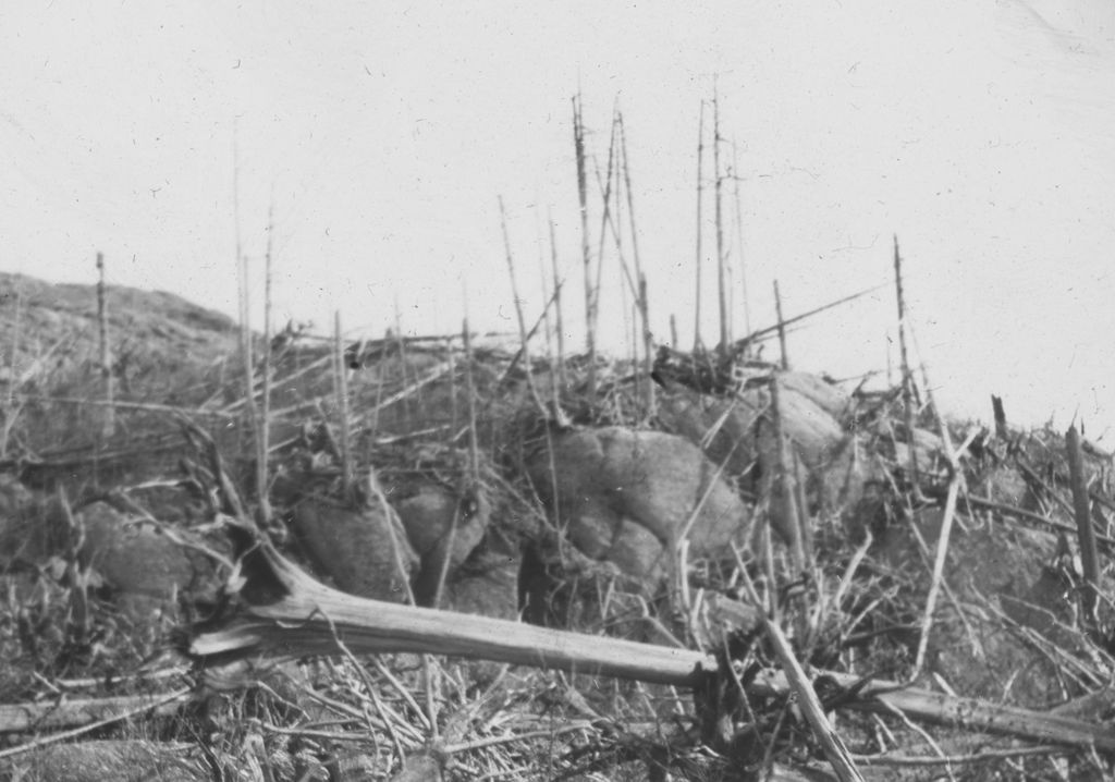 Miniature of South slope of Mount Hunger