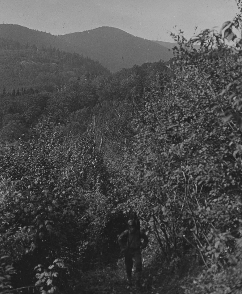 Miniature of North from the trail down into the Lincoln Warren Pass