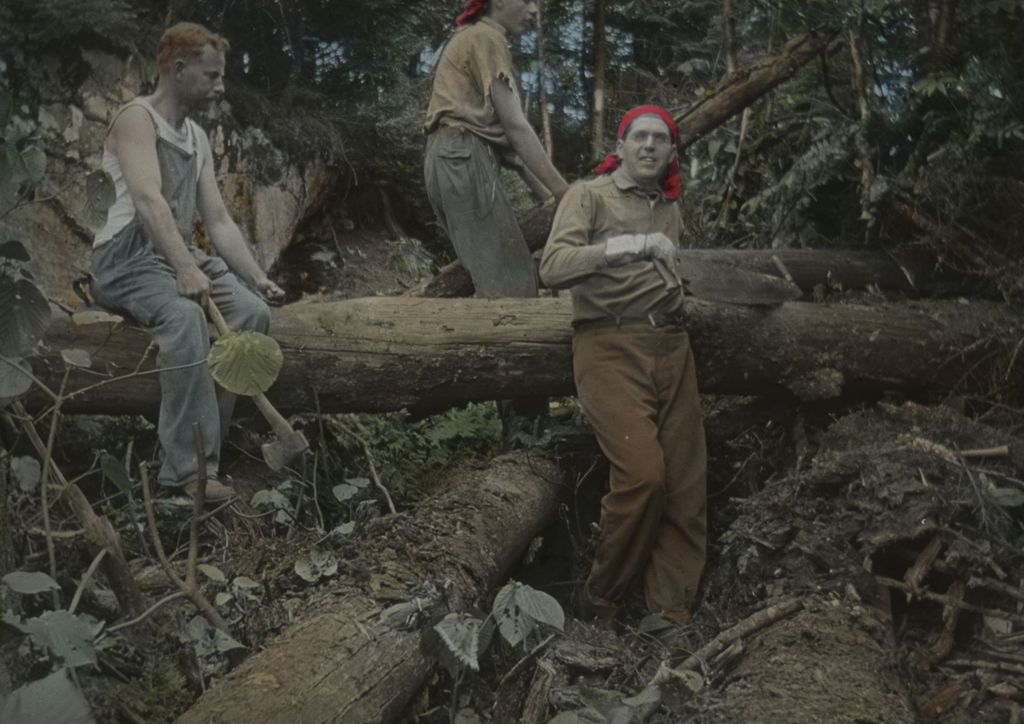 Miniature of Trail clearing south of Burnt Rock Mountain