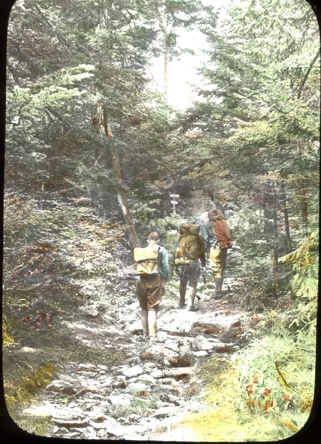 Miniature of Voter's party on a Mount Abraham trail