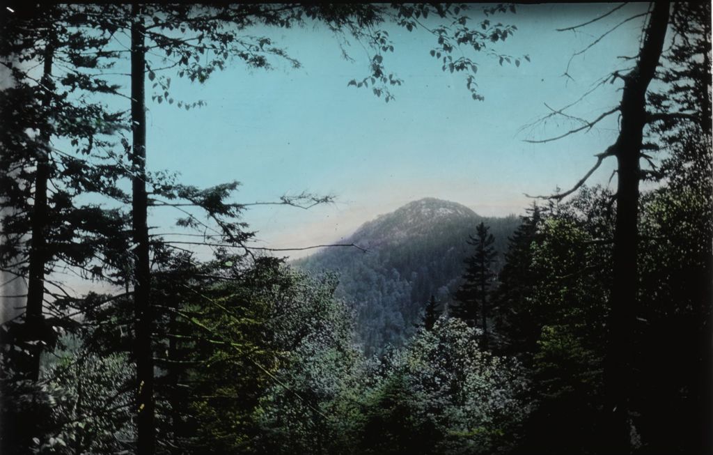 Miniature of Mountain peak through the trees