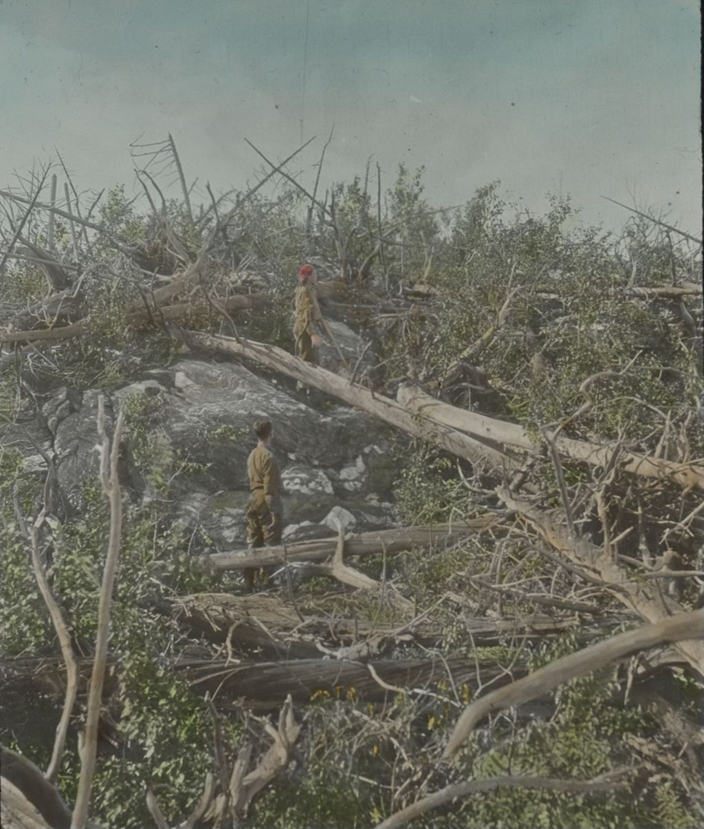 Miniature of Building a new trail on Couching Lion (Camel's Hump)