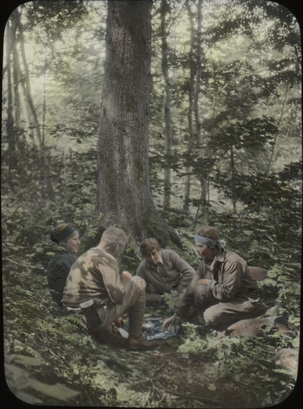 Miniature of Lunch near big birches