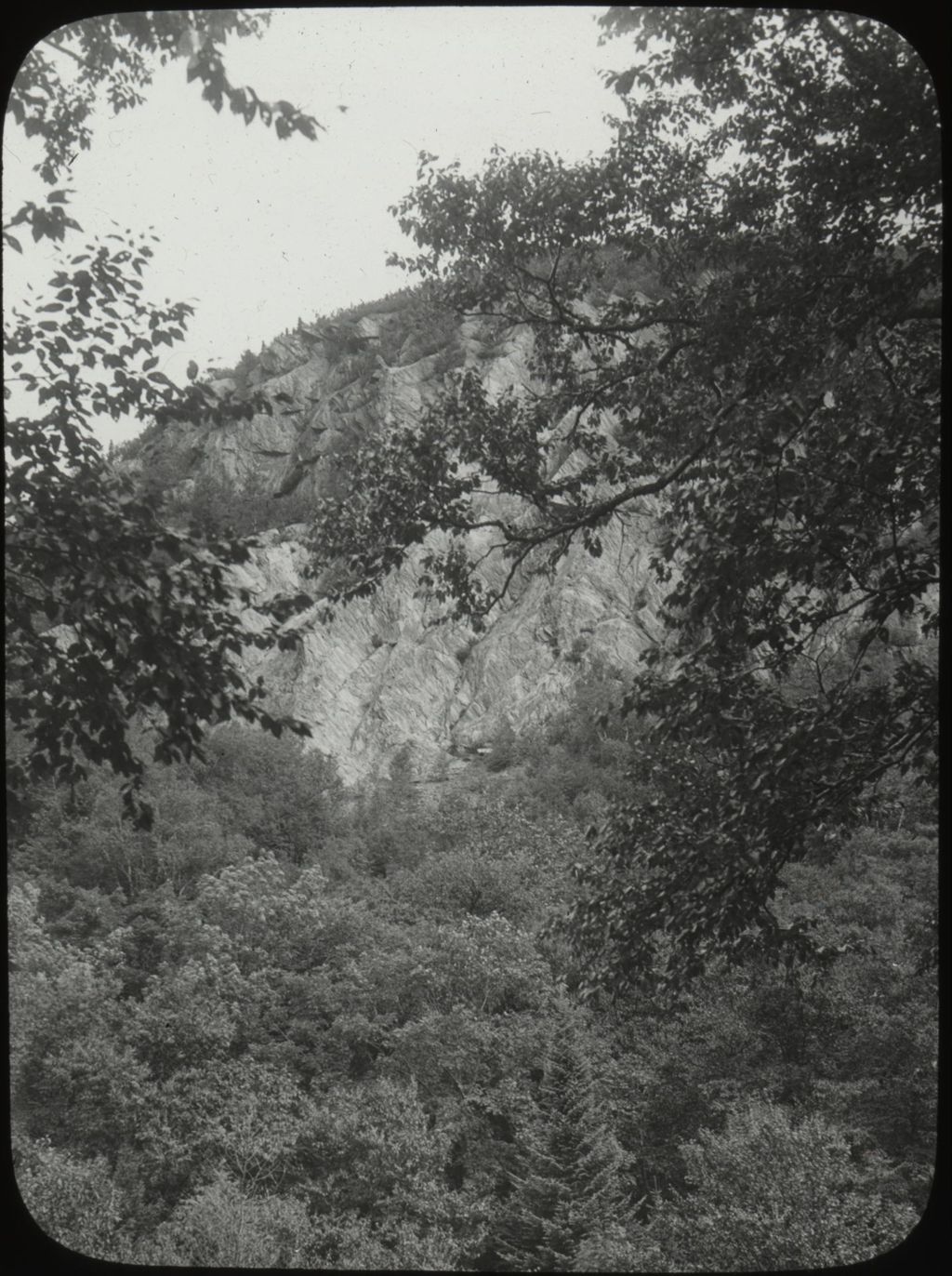 Miniature of Rock face through the trees