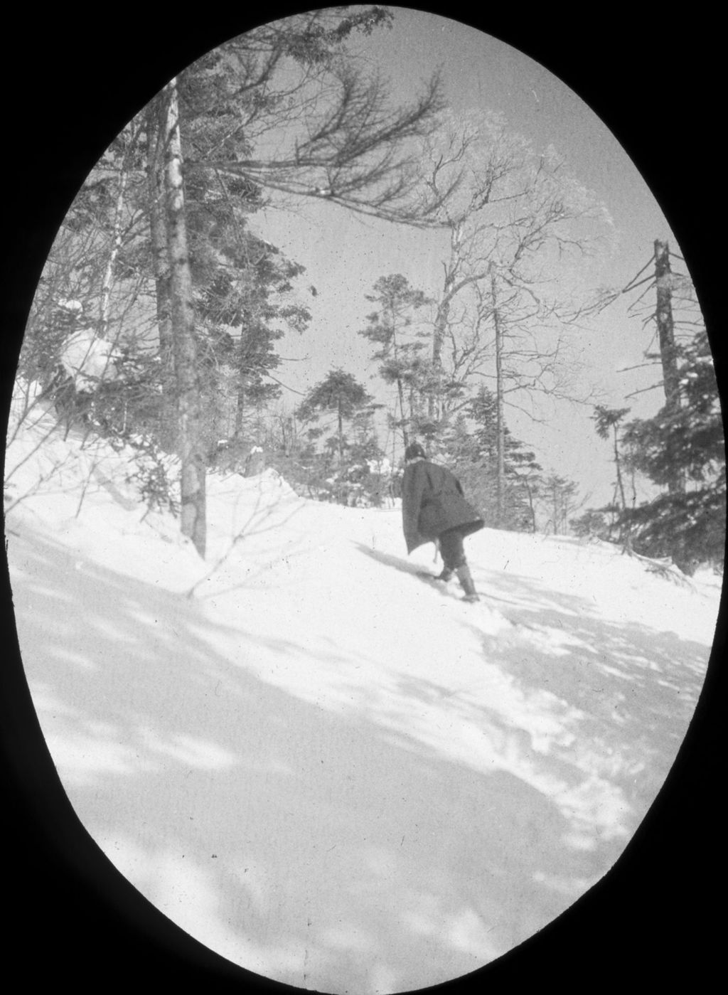 Miniature of Taft Trail to Mount Mansfield below Lookout Bluff